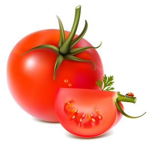 Tomato PNG-12521